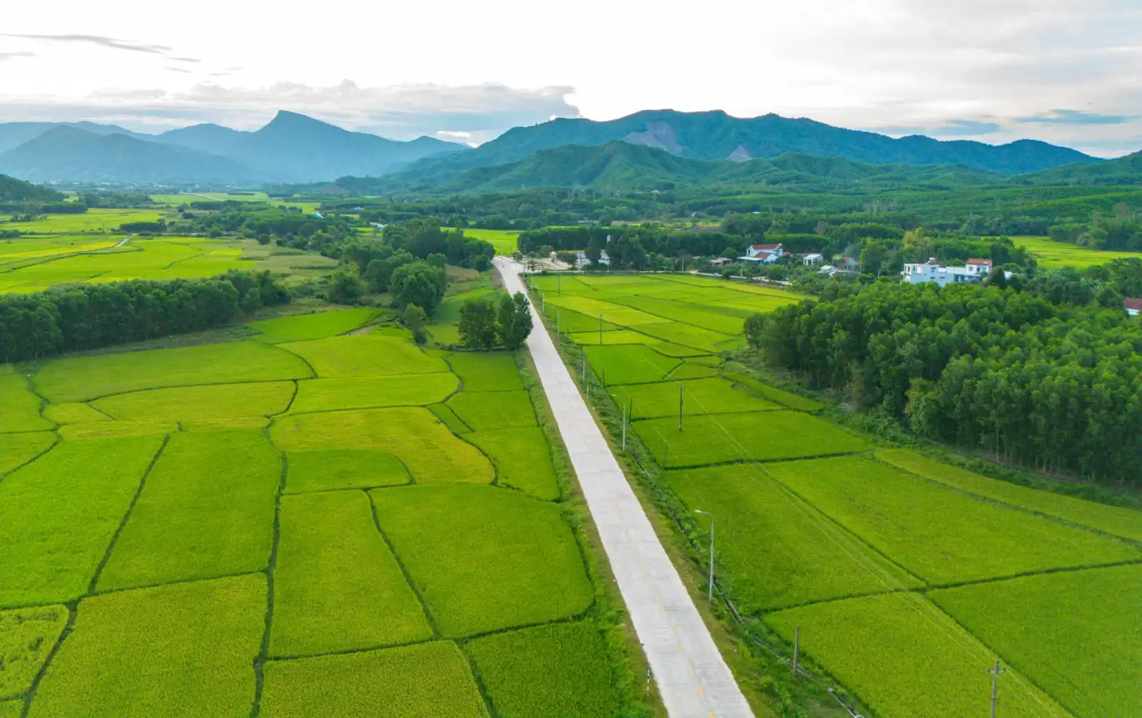 结构改造工程中裂缝修补的关键工艺与常见问题处理方案