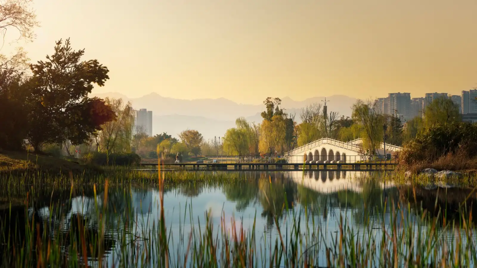 重庆老旧厂房结构改造前的检测评估要点与加固方案设计思路