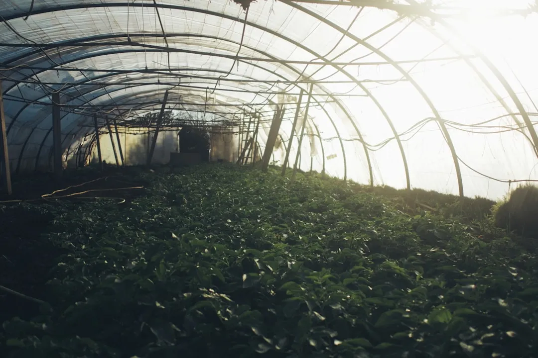 建筑加固施工中裂缝修补与粘钢加固的适用场景对比
