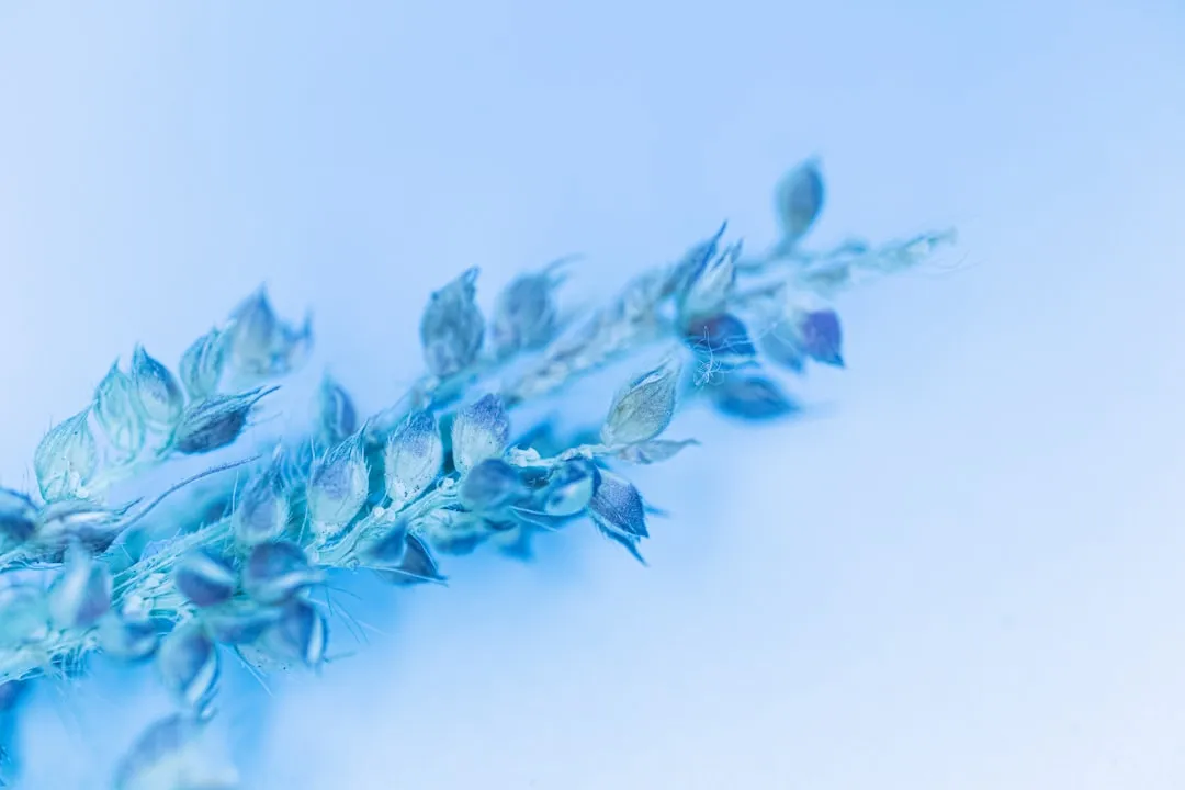 老旧厂房结构改造中碳纤维加固与粘钢加固的选型对比分析